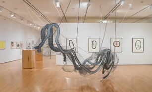 CONTINGENt: drawing and sculpture by Joan Tanner